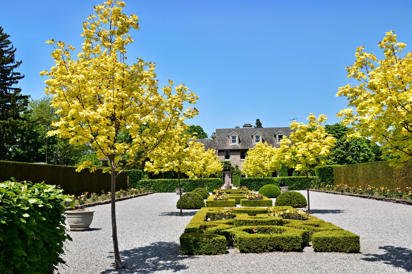 Sauber geschnittene Hecken und gepflegter Garten